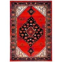 Jahan Red Area Rug in Red & Black by Safavieh