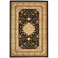 Hampshire Area Rug in Black / Ivory by Safavieh