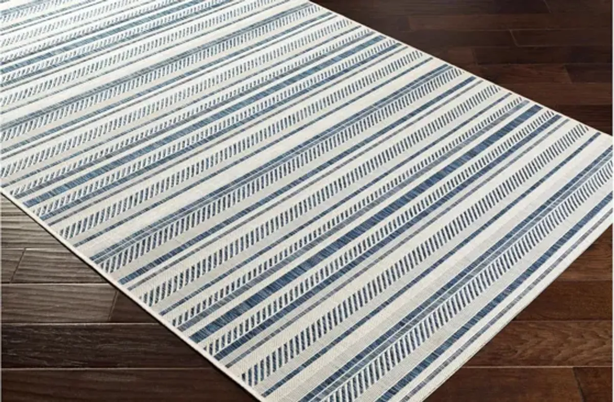 Eagean Indoor/Outdoor Area Rug