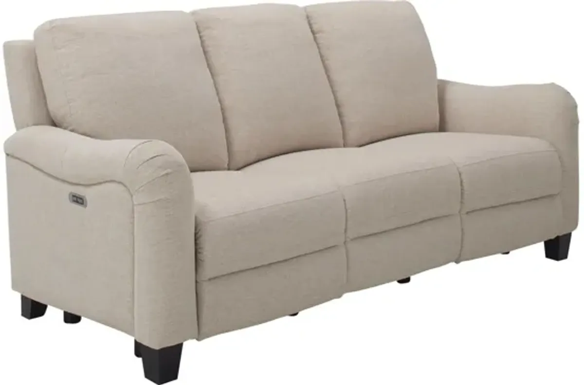 Dillon Power-Reclining Sofa