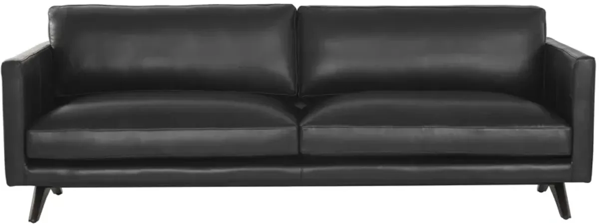 Rogers Sofa in Cortina Black by Sunpan