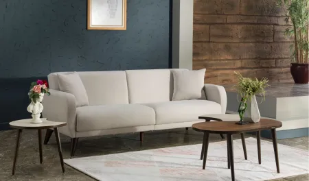 Lugano Sleeper Sofa with Storage in Beige by HUDSON GLOBAL MARKETING USA