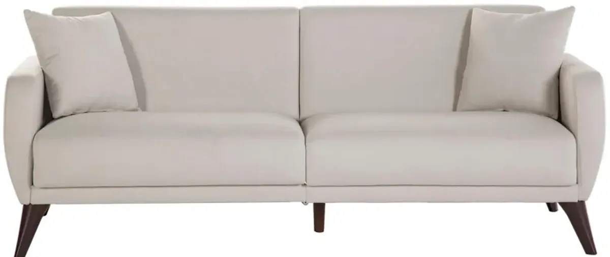 Lugano Sleeper Sofa with Storage in Beige by HUDSON GLOBAL MARKETING USA