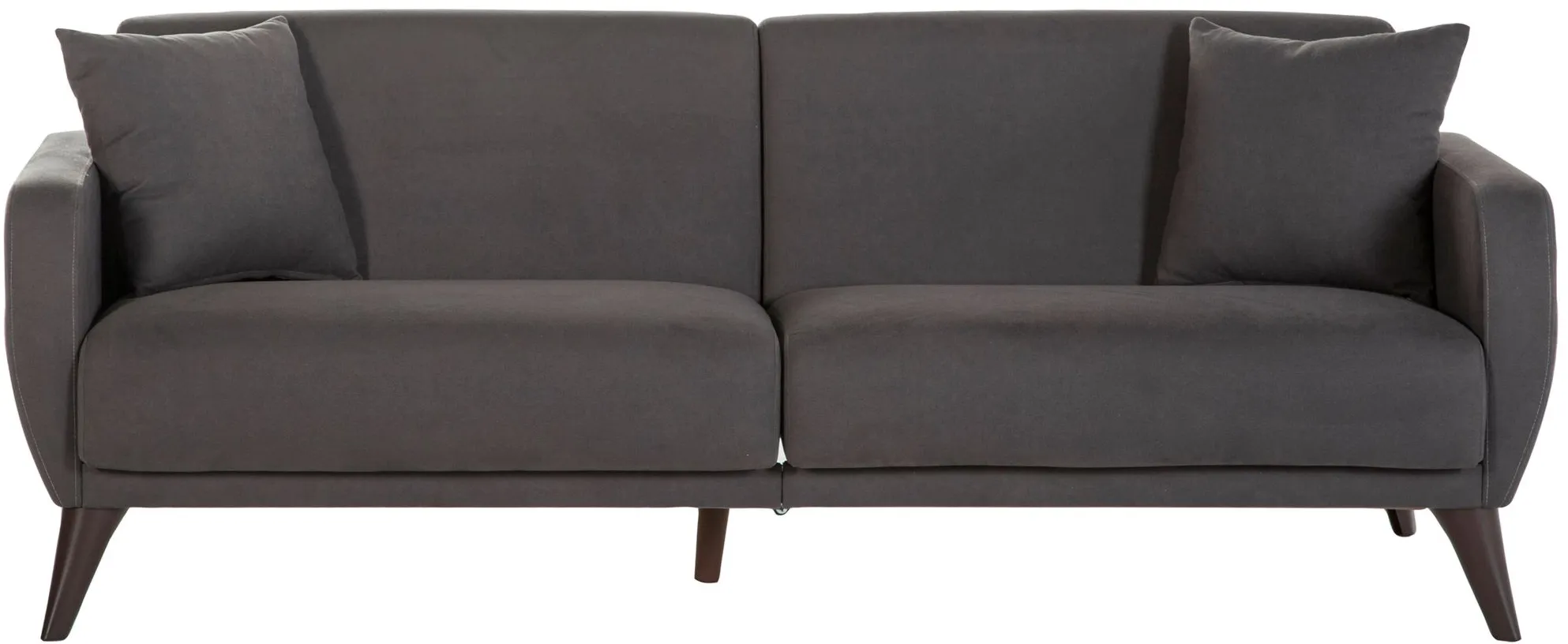 Lugano Sleeper Sofa with Storage in Charcoal by HUDSON GLOBAL MARKETING USA