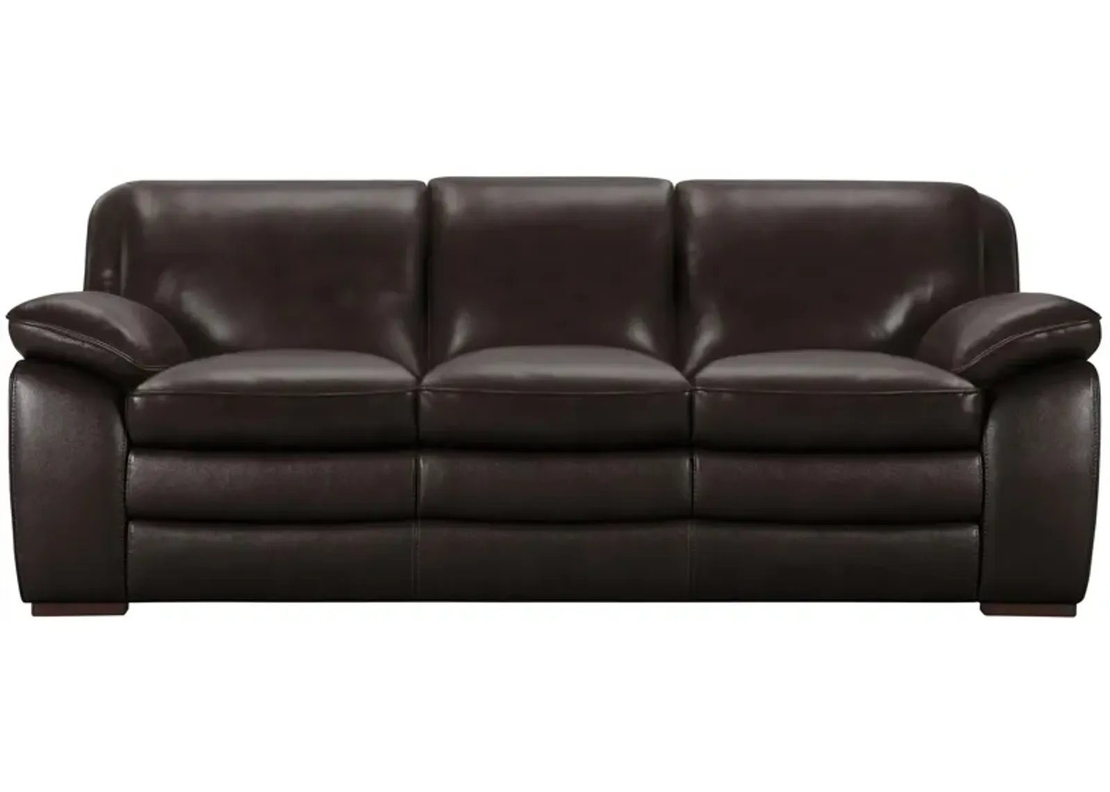 Zanna Sofa in Dark Brown by Armen Living