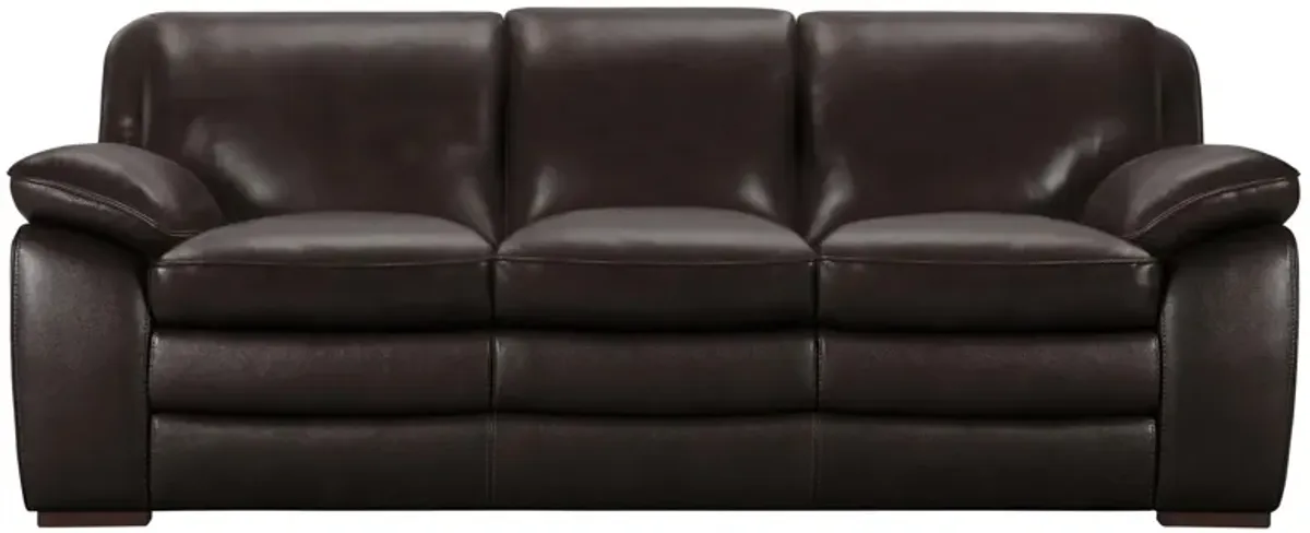 Zanna Sofa in Dark Brown by Armen Living