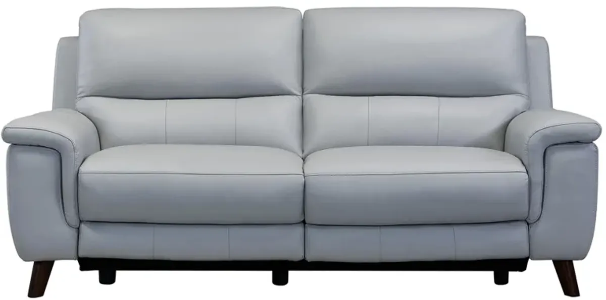 Lizette Sofa in Dove Gray by Armen Living