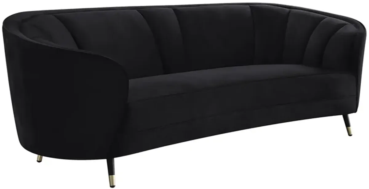 Dortmund Sofa in Black by HomeRoots