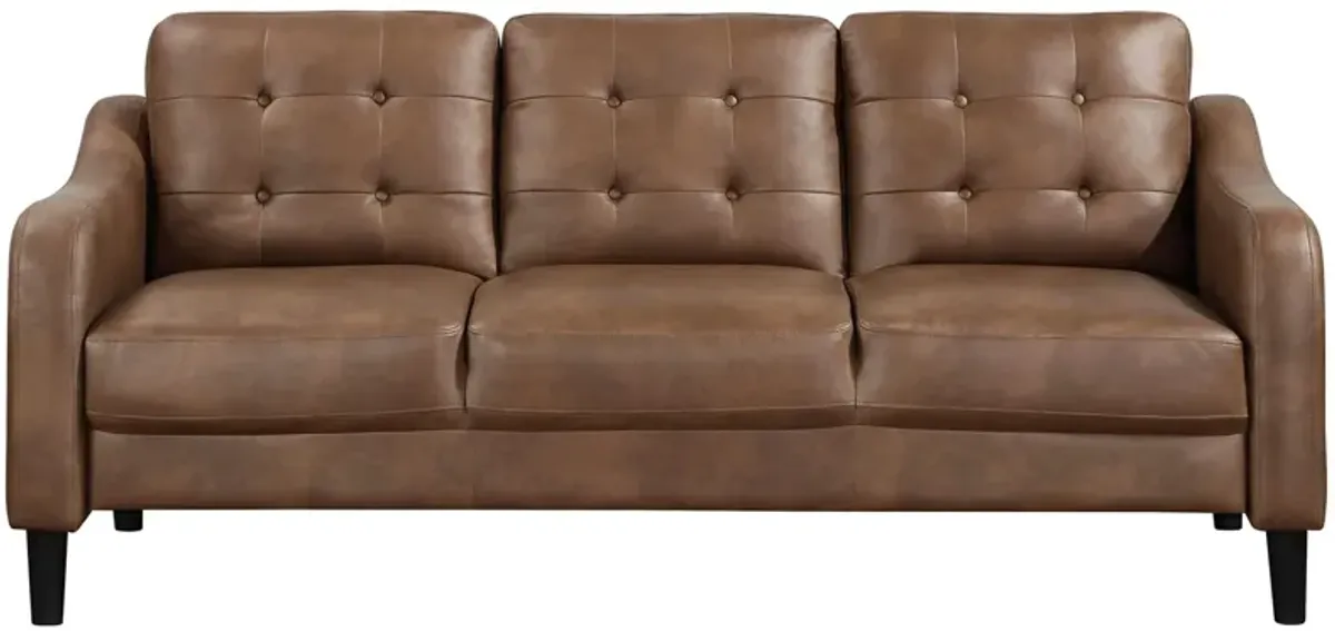 Pacey Sofa in Brown by Homelegance