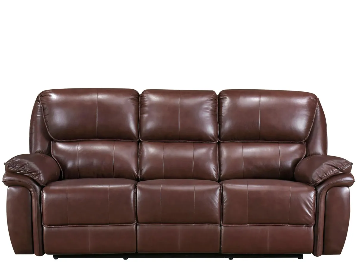 Hazen Double Reclining Sofa in Brown by Homelegance