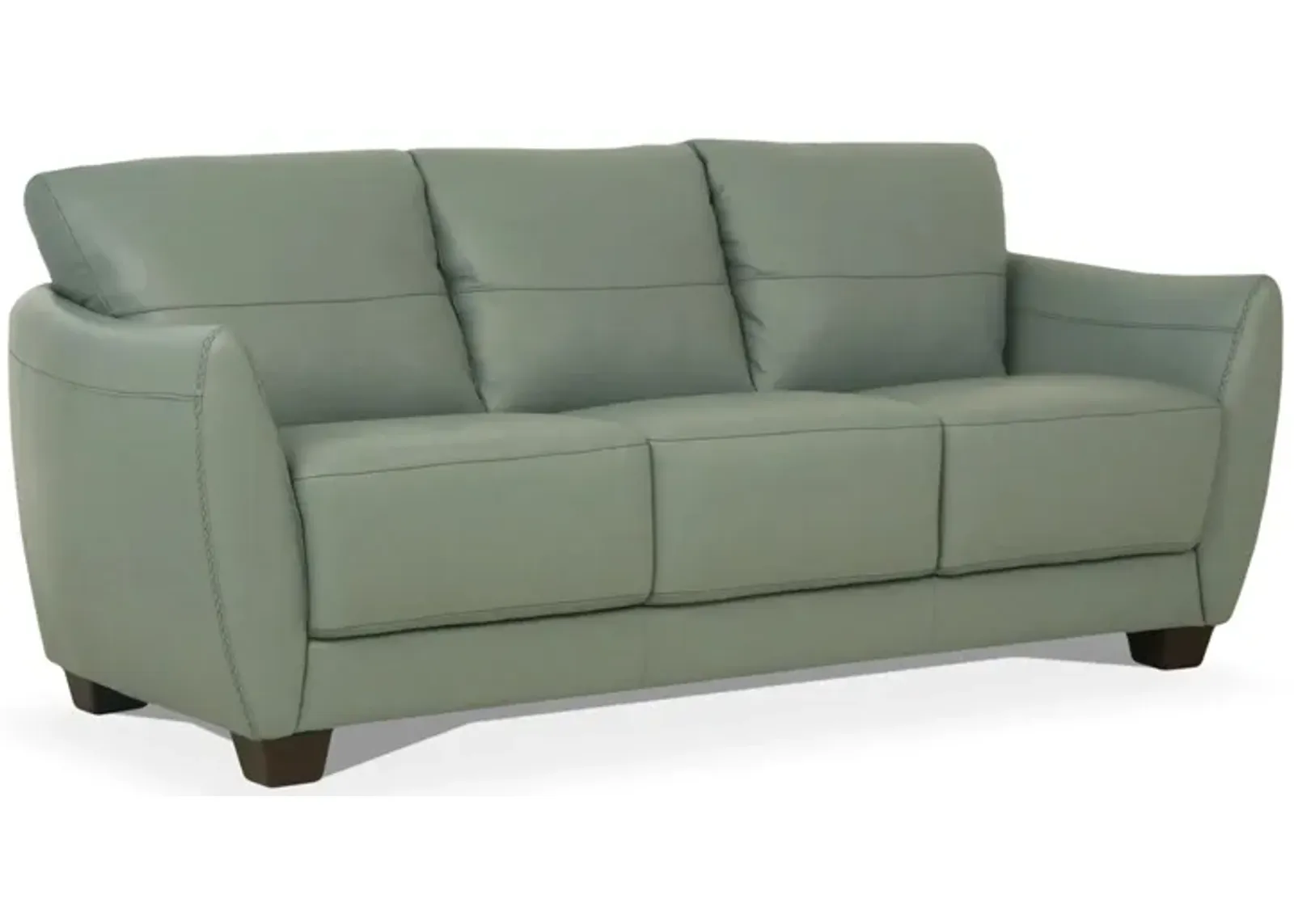 Dinan Sofa in Light Green by HomeRoots