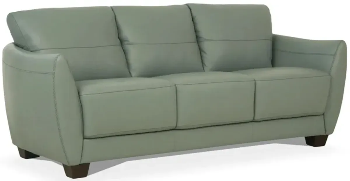 Dinan Sofa in Light Green by HomeRoots