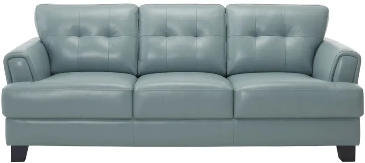 Diego Leather Sofa in Seafoam Green by Chateau D'Ax