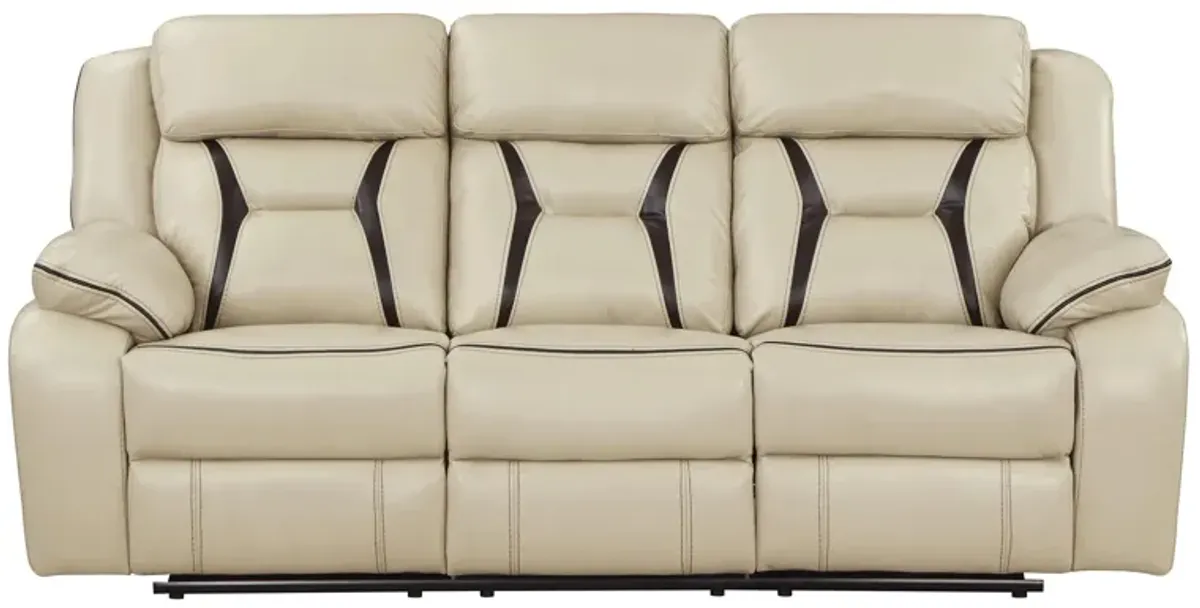 Austin Double Reclining Sofa in Beige by Homelegance