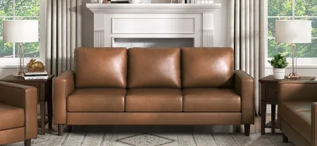 Hinsall Sofa in Brown by Homelegance