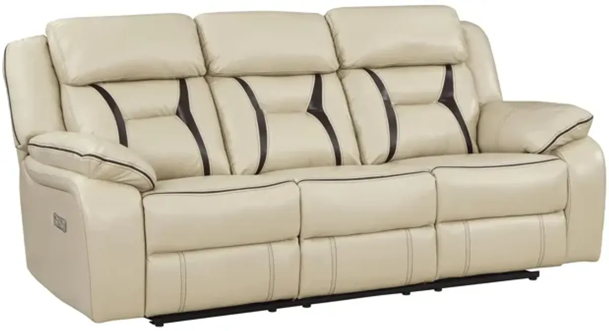 Austin Power Double Reclining Sofa