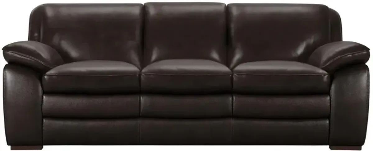 Bruno Sofa in Dark Brown by Armen Living