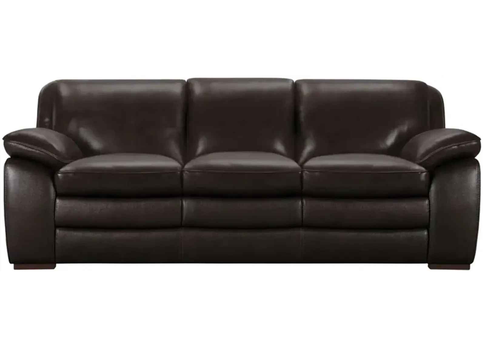 Bruno Sofa in Dark Brown by Armen Living