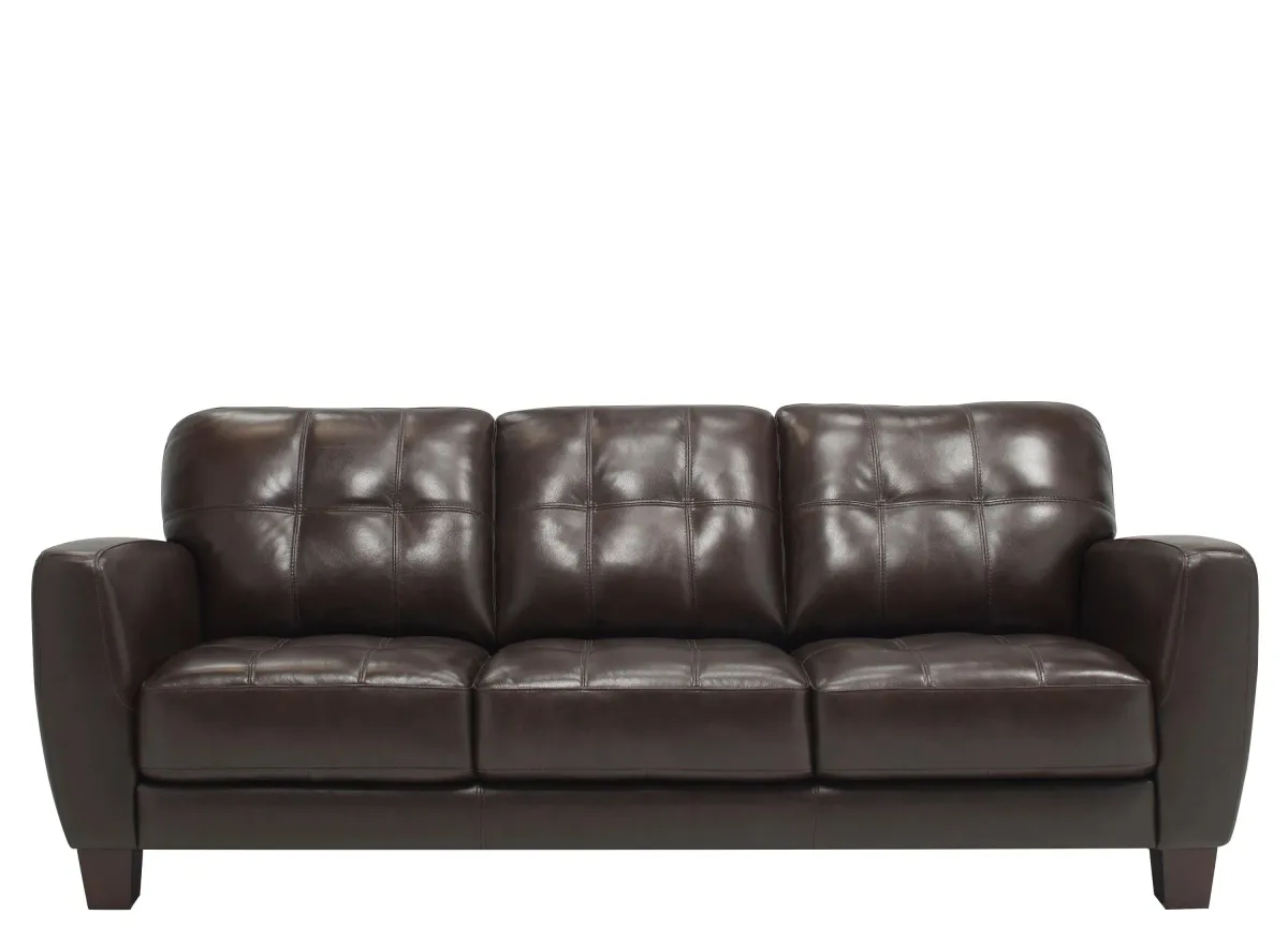 Gino Leather Sofa in Classico Dark Brown by Bellanest