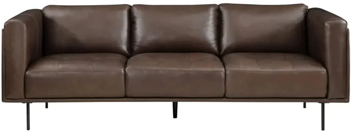 Holleman Sofa in Brown by Homelegance