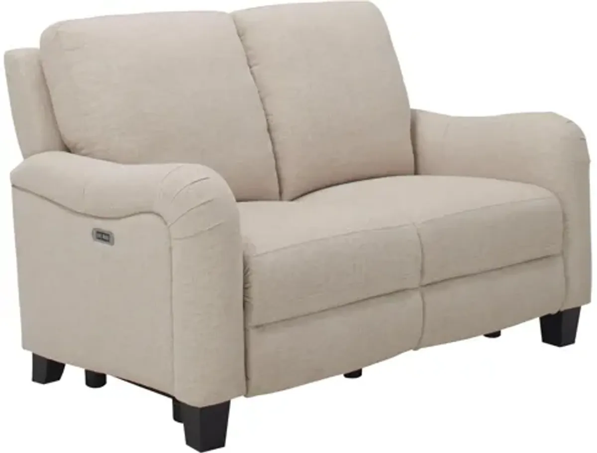 Dillon Power-Reclining Loveseat