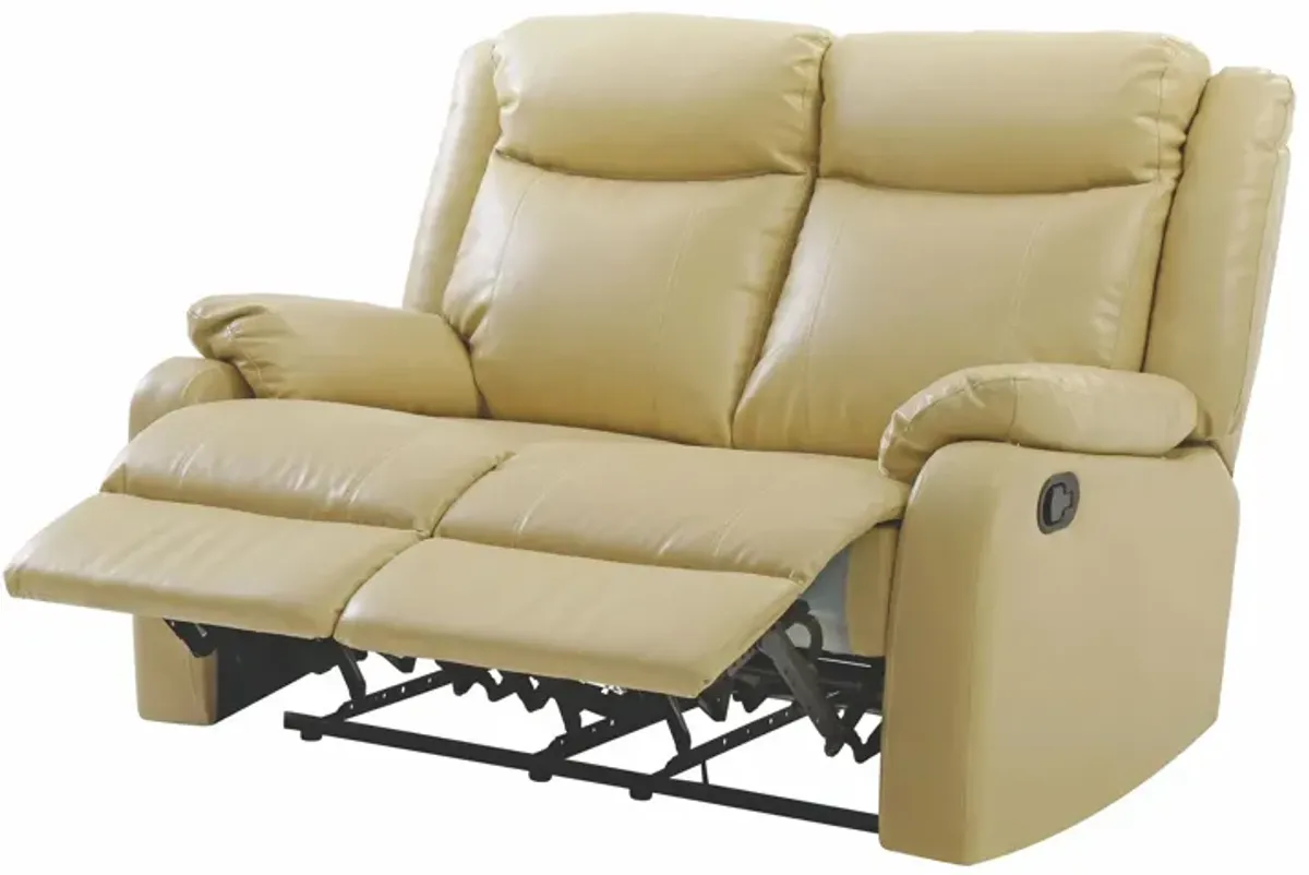 Ward Double Reclining Loveseat in Putty by Glory Furniture