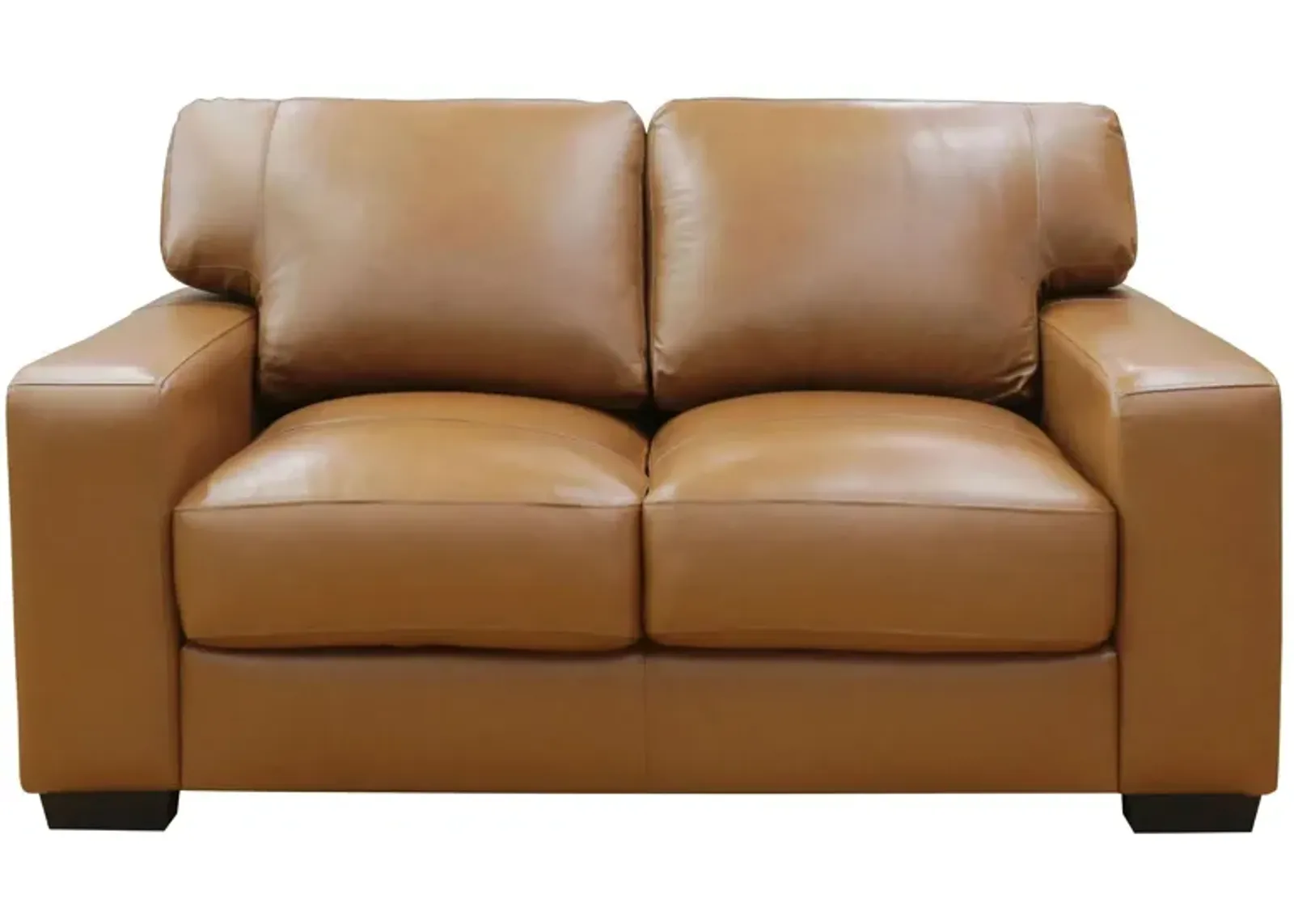 Bordeaux Leather Loveseat in Tan by Primo International