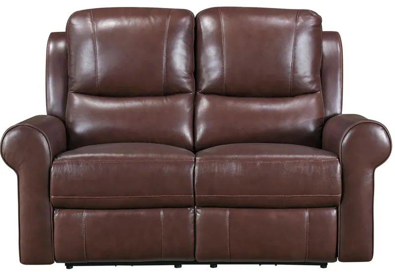 Fairview Power Double Reclining Loveseat in Brown by Homelegance