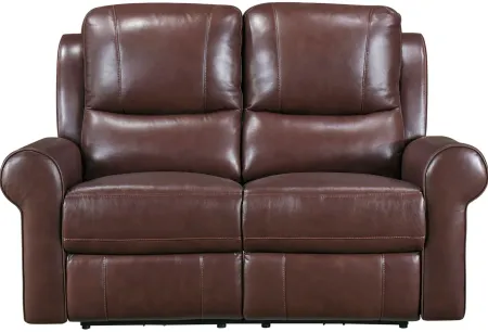 Fairview Power Double Reclining Loveseat in Brown by Homelegance