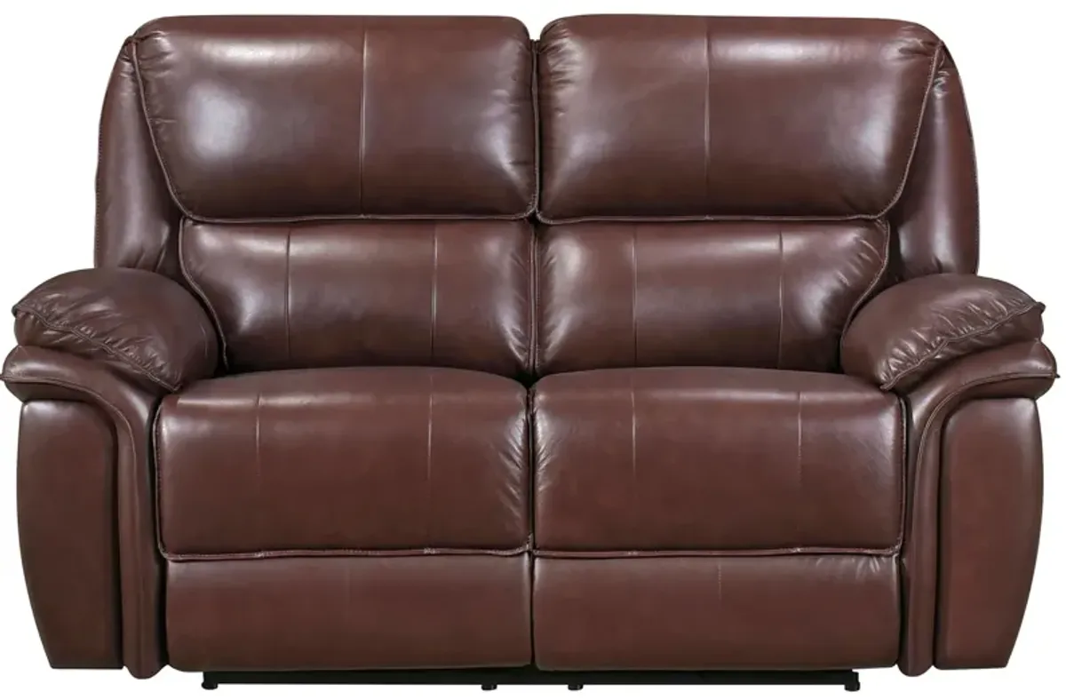 Hazen Double Reclining Loveseat in Brown by Homelegance