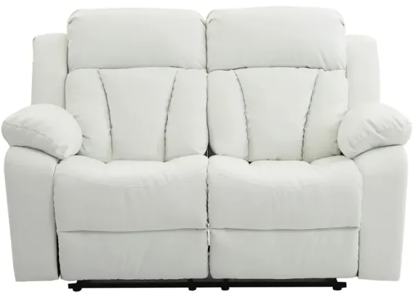 Daria Reclining Loveseat