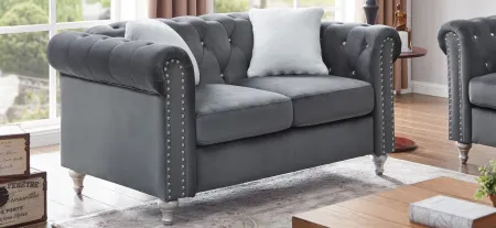 Raisa Loveseat in Gray by Glory Furniture