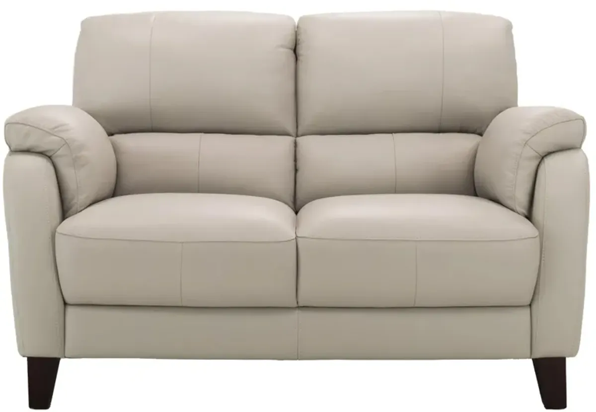 Harmony Leather Loveseat in Dove Gray by Bellanest