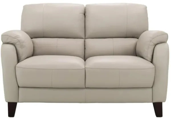 Harmony Leather Loveseat