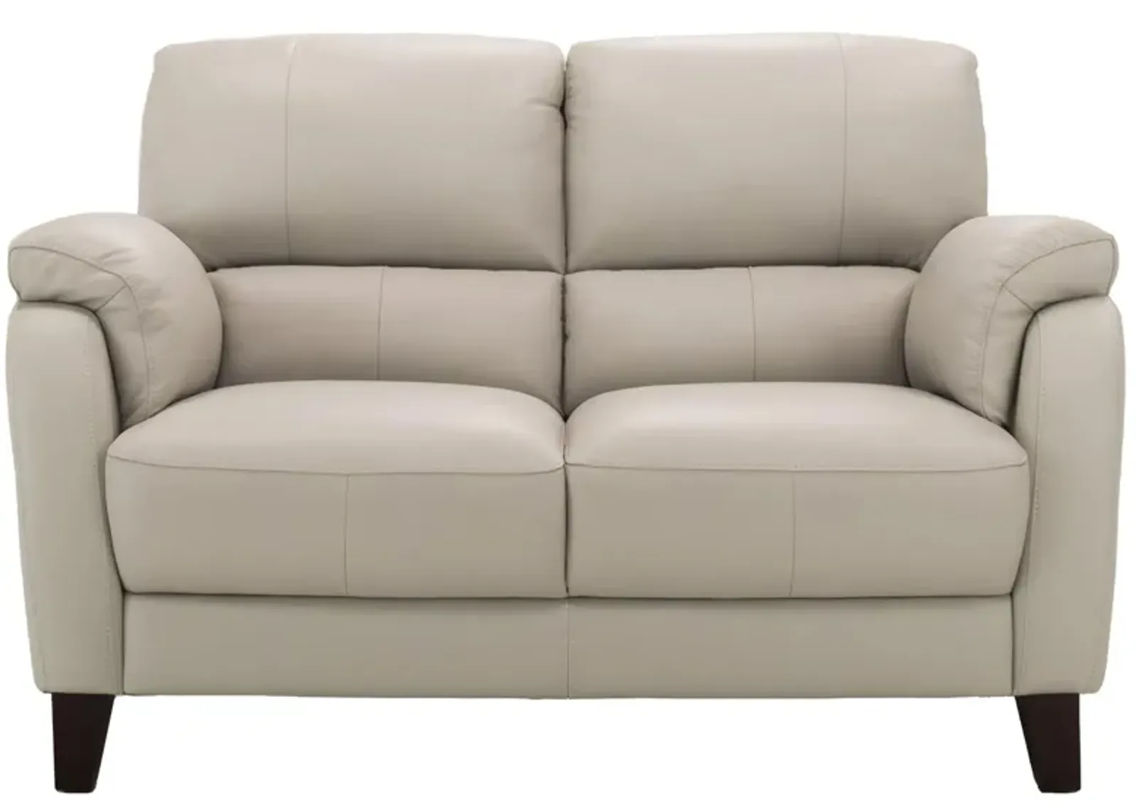 Harmony Leather Loveseat in Dove Gray by Bellanest