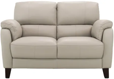 Harmony Leather Loveseat in Dove Gray by Bellanest