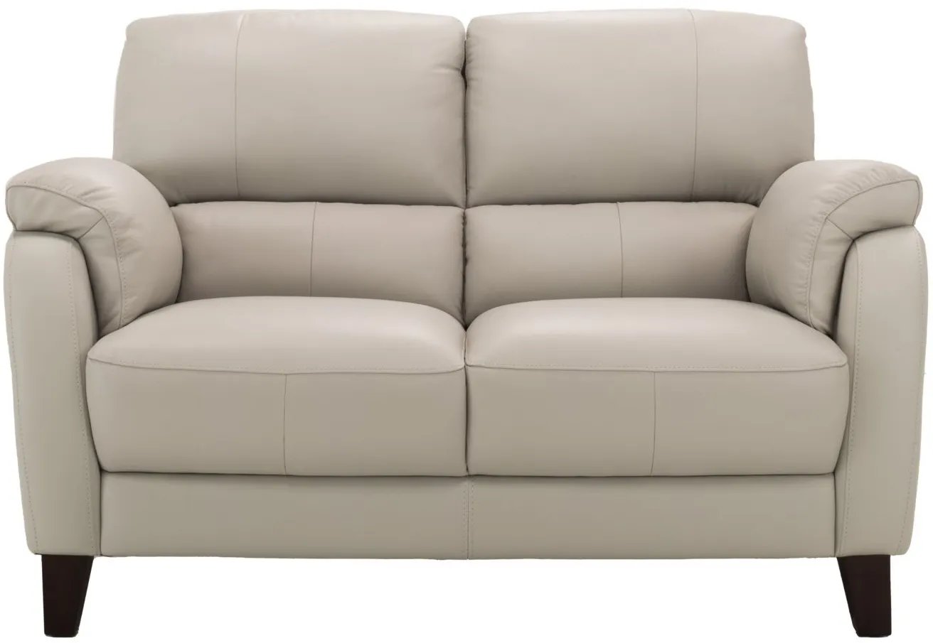 Harmony Leather Loveseat in Dove Gray by Bellanest
