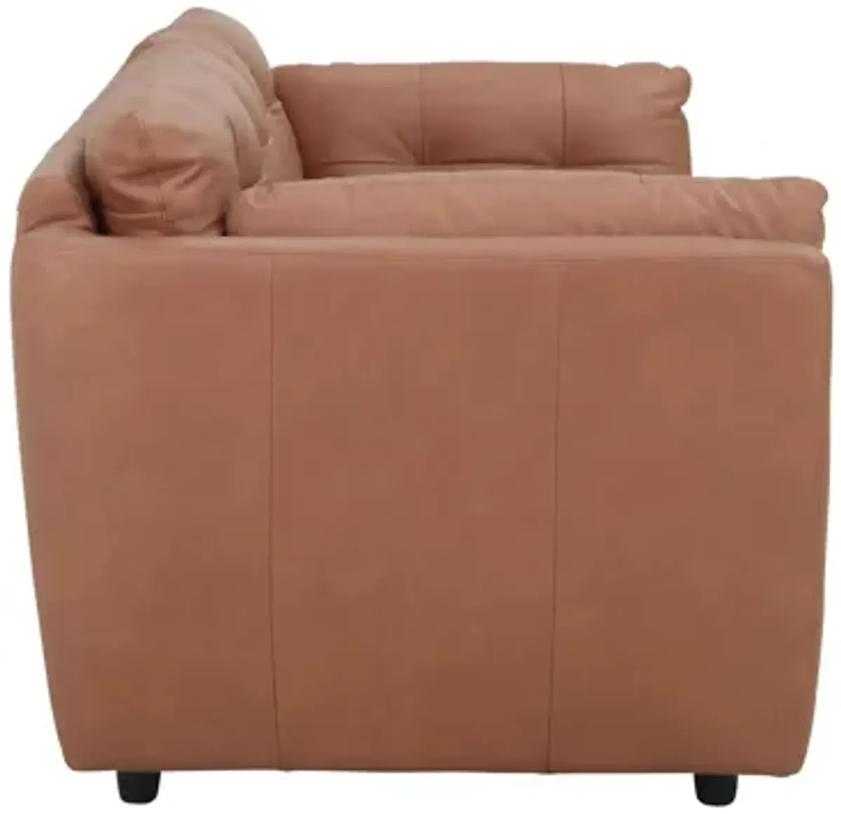 Damar Leather Loveseat