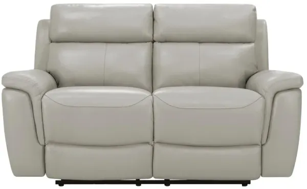 Dryden Leather Power Loveseat w/ Power Headrest