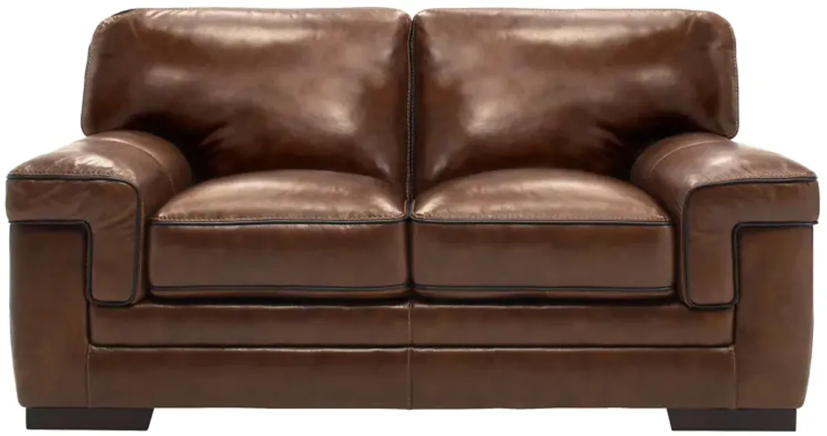 Colton Leather Loveseat in Brown by Bellanest