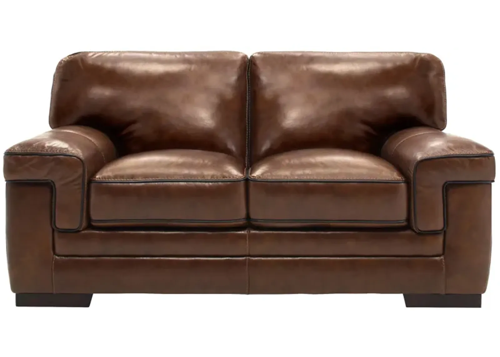 Colton Leather Loveseat in Brown by Bellanest