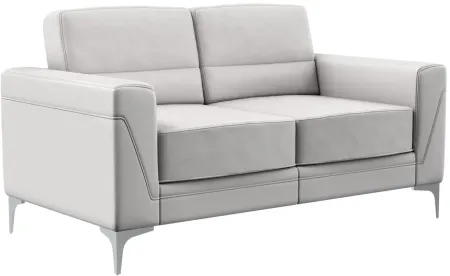 Forest Loveseat in Light Grey by Global Furniture Furniture USA