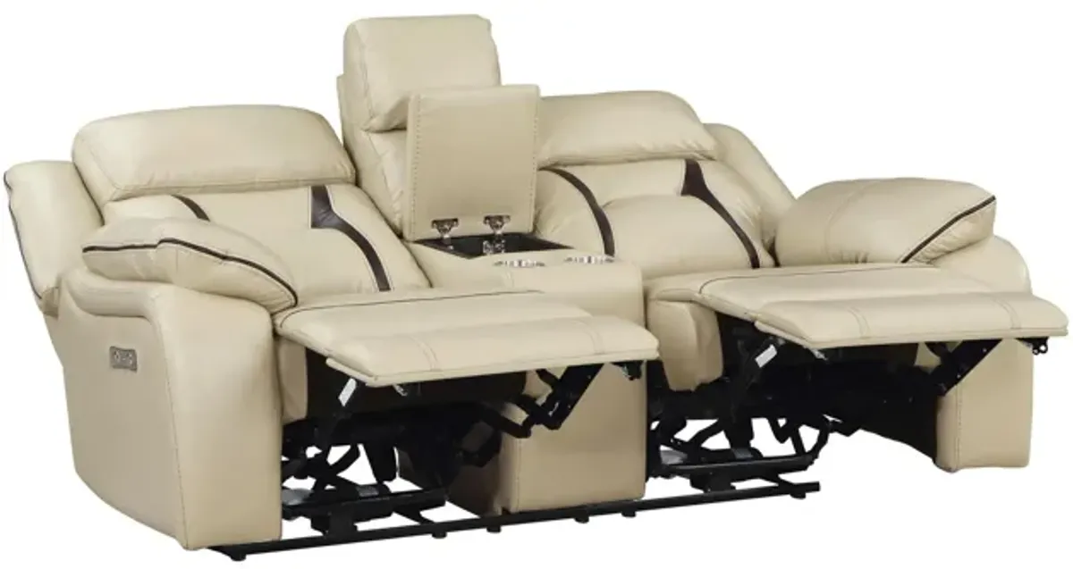 Austin Power Double Reclining Loveseat With Center Console