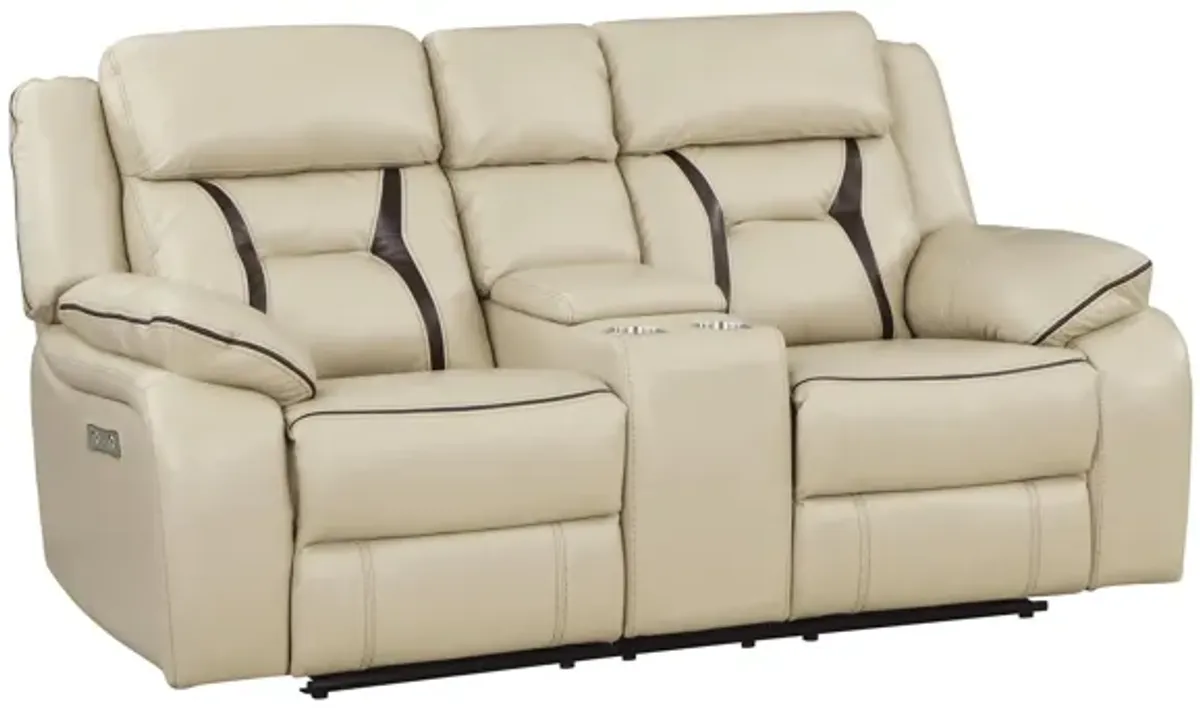 Austin Power Double Reclining Loveseat With Center Console