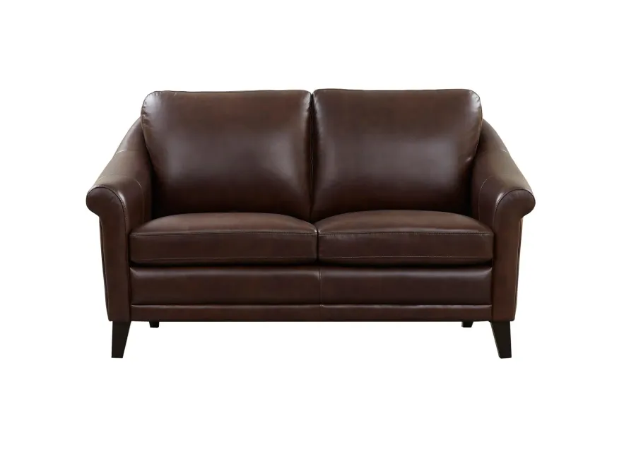 Soler Loveseat in Brown by GTR Leather Inc