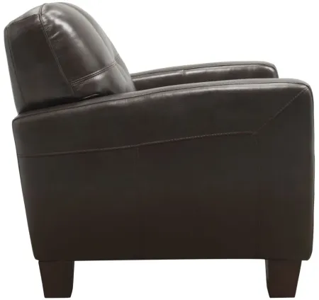 Gino Leather Chair in Classico Dark Brown by Bellanest