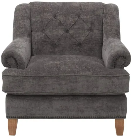 Messana Chenille Velvet Chair in Gray by Aria Designs