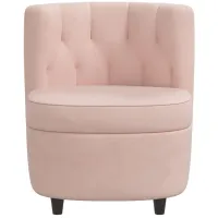 Zaire Chair in Velvet Blush by Skyline