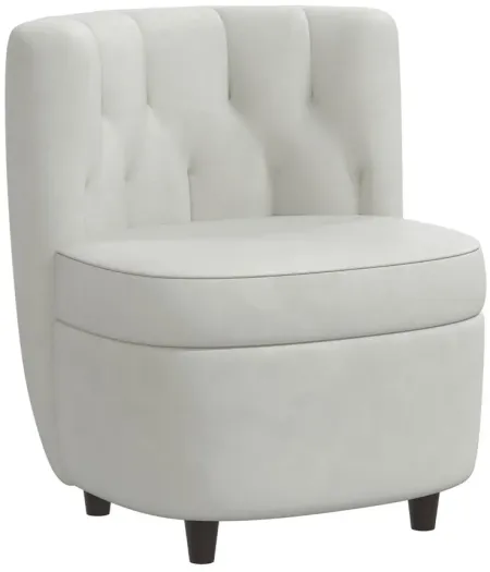 Zaire Chair in Velvet Light Grey by Skyline