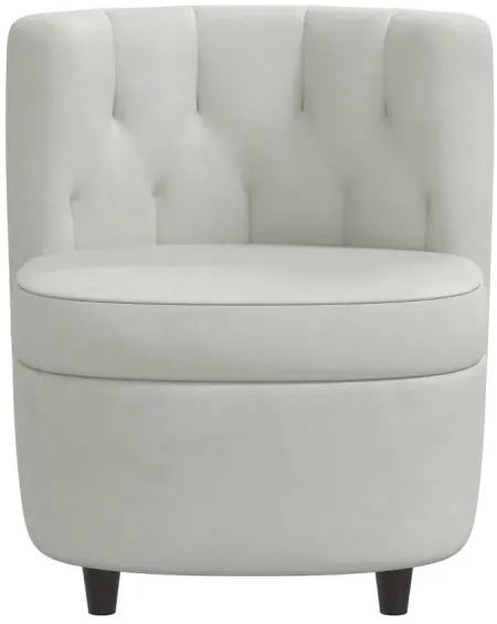 Zaire Chair in Velvet Light Grey by Skyline